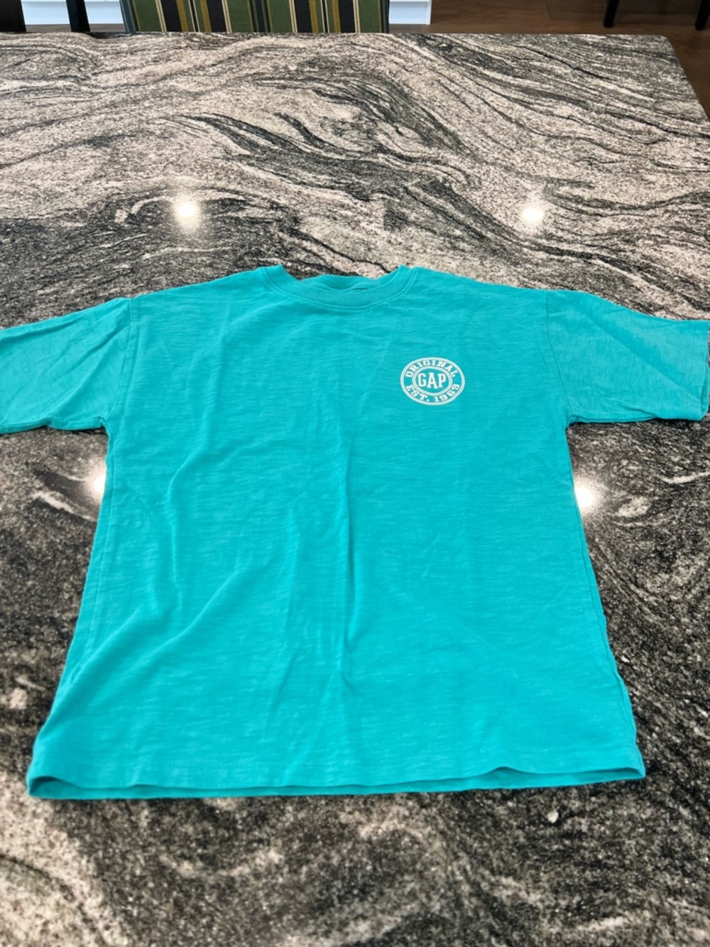 GAP Kids Aqua Short Sleeve Logo Tee